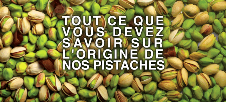 LES ORIGINES DE  NOS PISTACHES